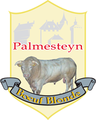 Palmesteyn